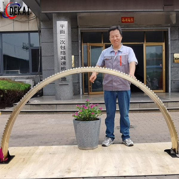 精密雙導程無(wú)間隙蝸桿蝸輪副